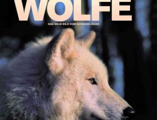 Buch – Wölfe – Das neue Bild vom scheuen Jäger