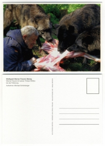 2010 04 Postkarte Wolfspark Werner Freund